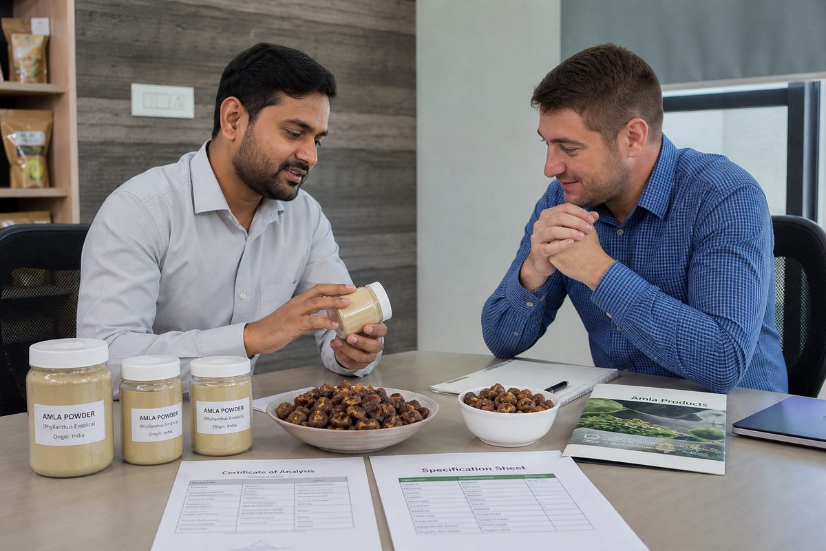 International buyer reviewing Indian amla powder samples, COA specs, and dated FOB terms with a merchant exporter