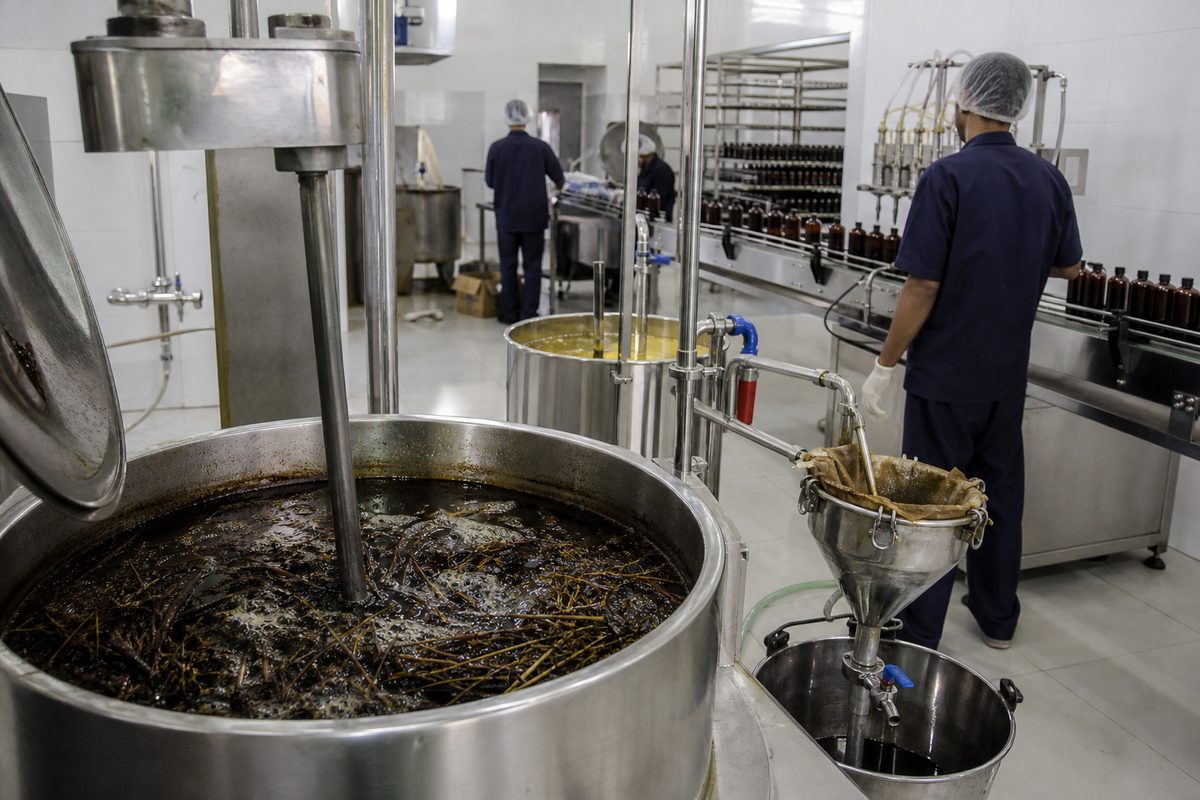 Herb decoction kettle, oil blending tank and bottle filling line in an AYUSH-licensed Ayurvedic hair oil plant in India
