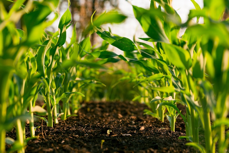 Agriculture & Food Products