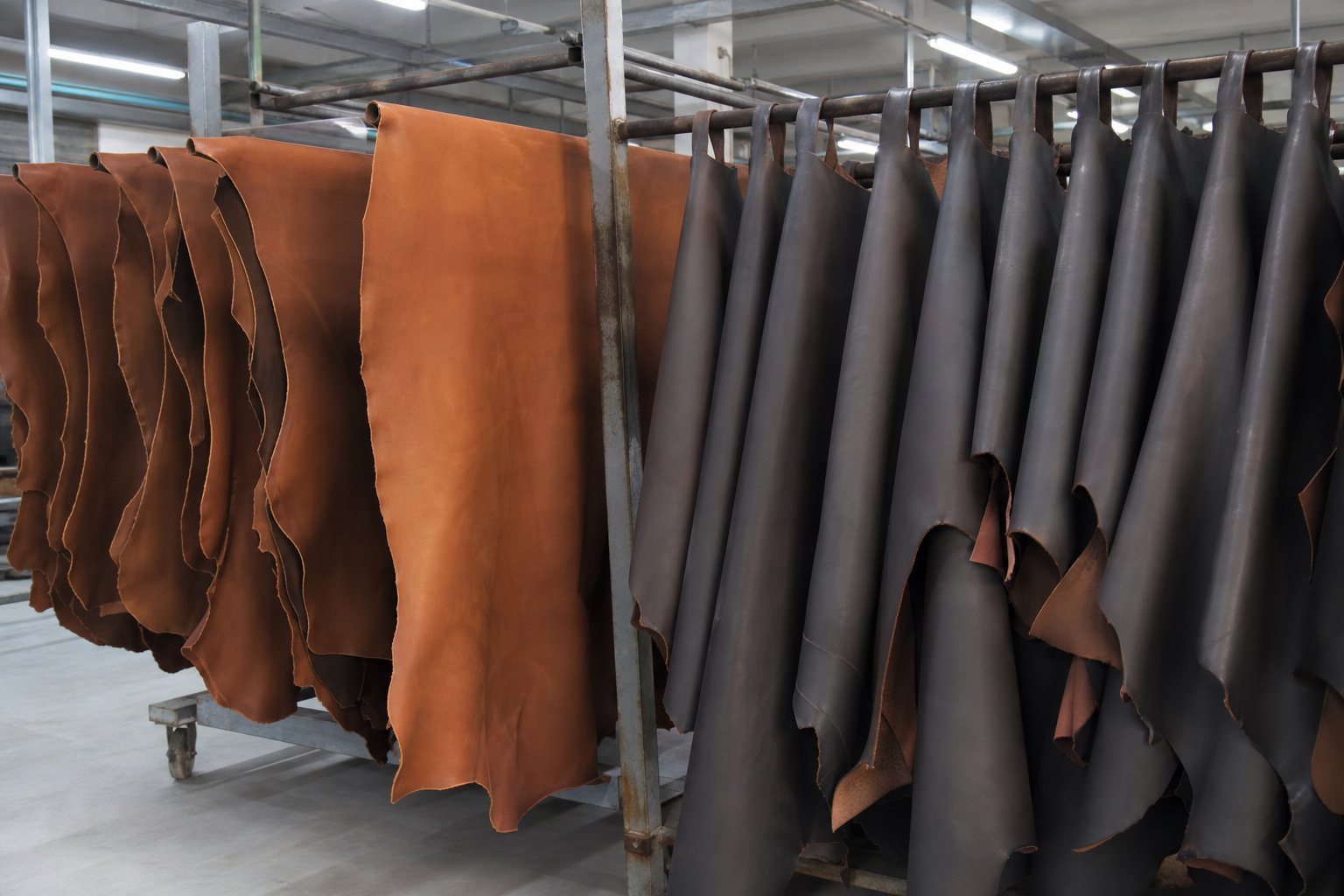 Finished leather hides hanging in an Indian tannery supplying LWG-linked leather for wallet and belt manufacturing