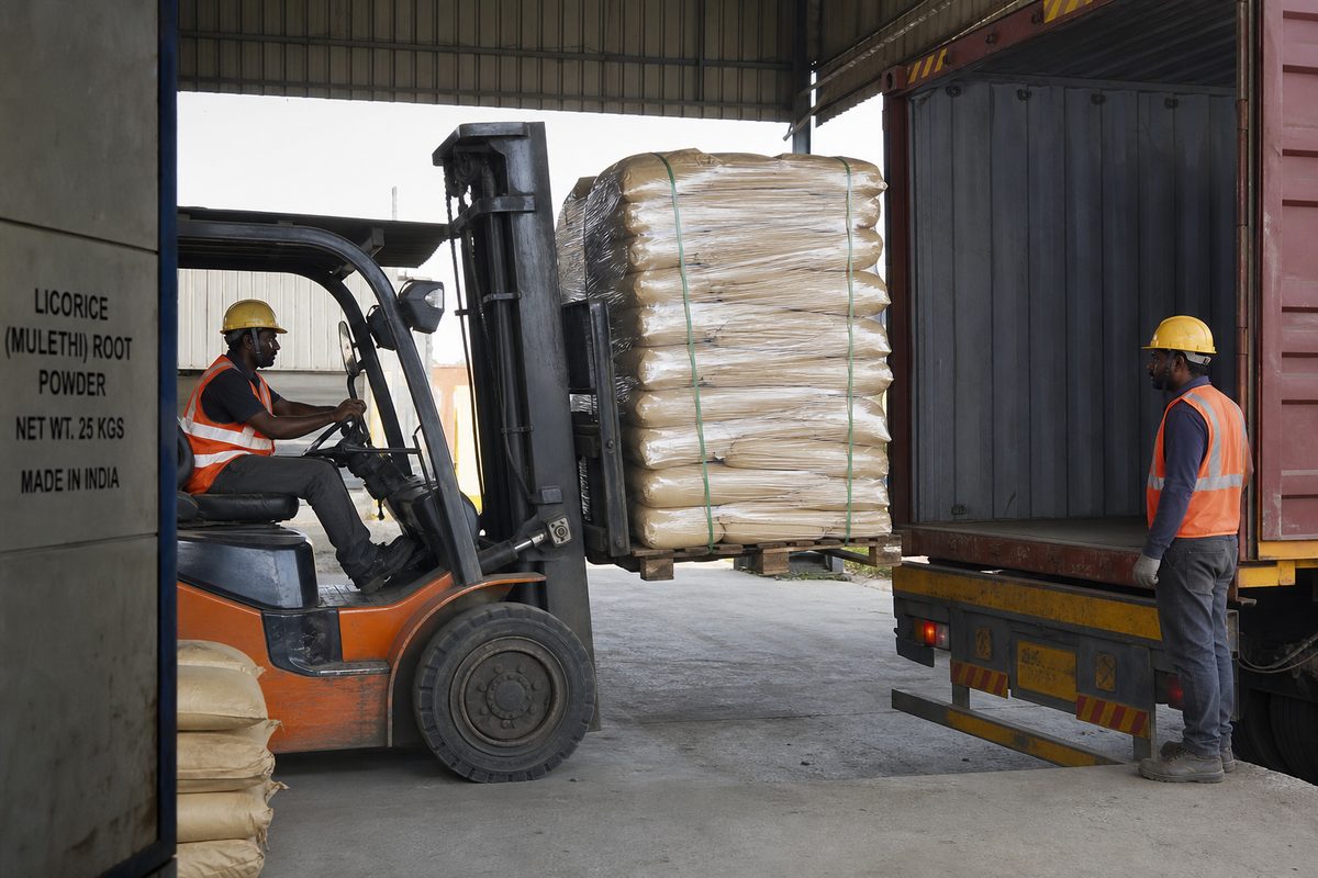 Forklift loading palletized India licorice root powder bags onto a truck for Mundra or Nhava Sheva port haul