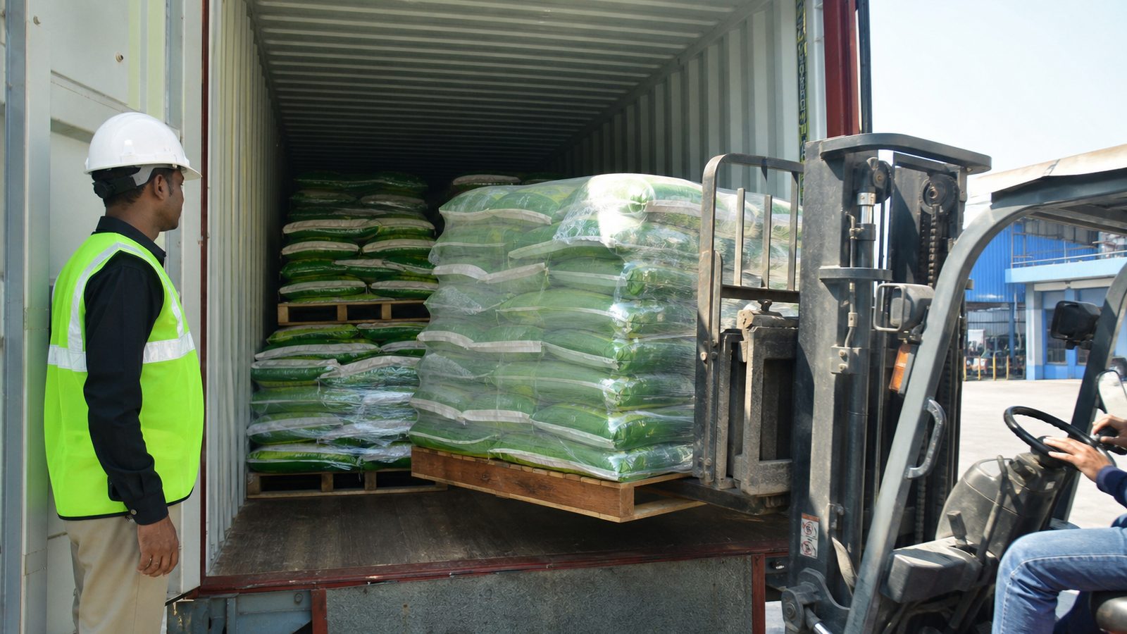 Moisture-protected stuffing of Indian Moringa powder bags into a 20-foot export shipping container