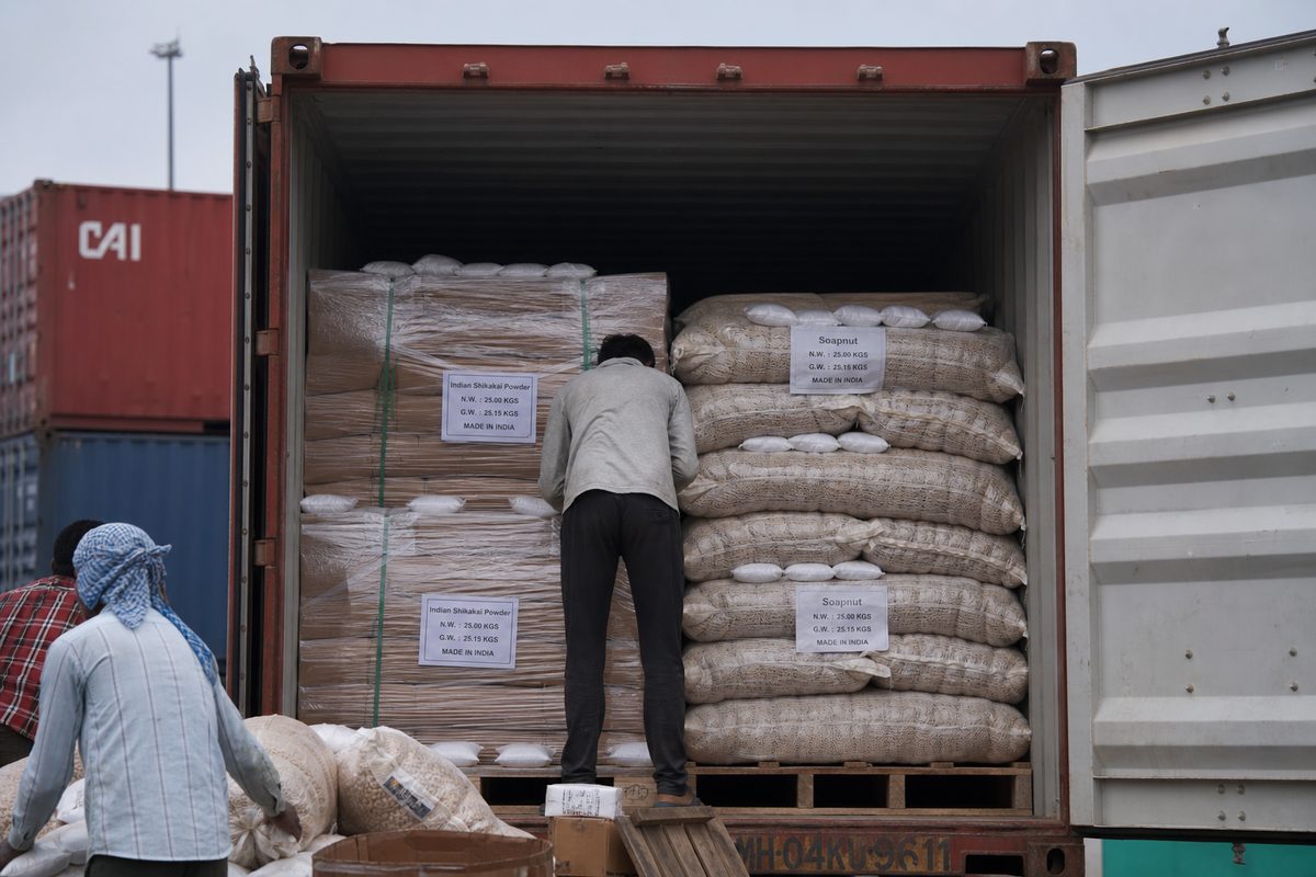 Moisture-protected stuffing of Indian shikakai powder and soapnut packs into a 20-foot export shipping container