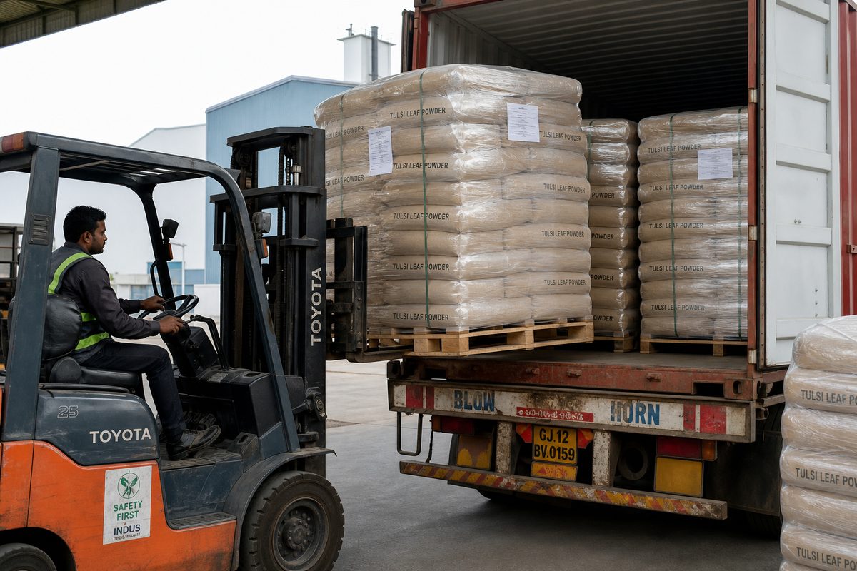 Forklift loading palletized Indian tulsi powder bags onto a truck for Mundra or Nhava Sheva port haul