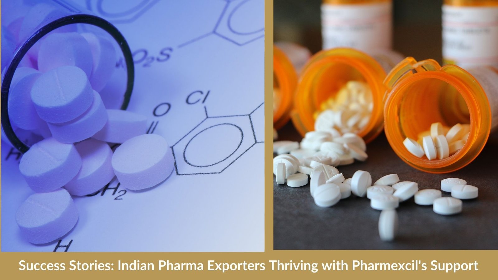 Success Stories: Indian Pharma Exporters Thriving with Pharmexcil's Support
