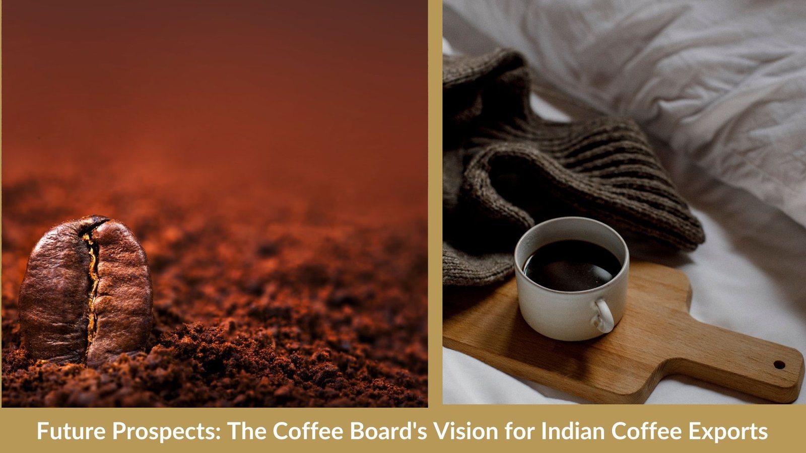 Future Prospects: The Coffee Board's Vision for Indian Coffee Exports
