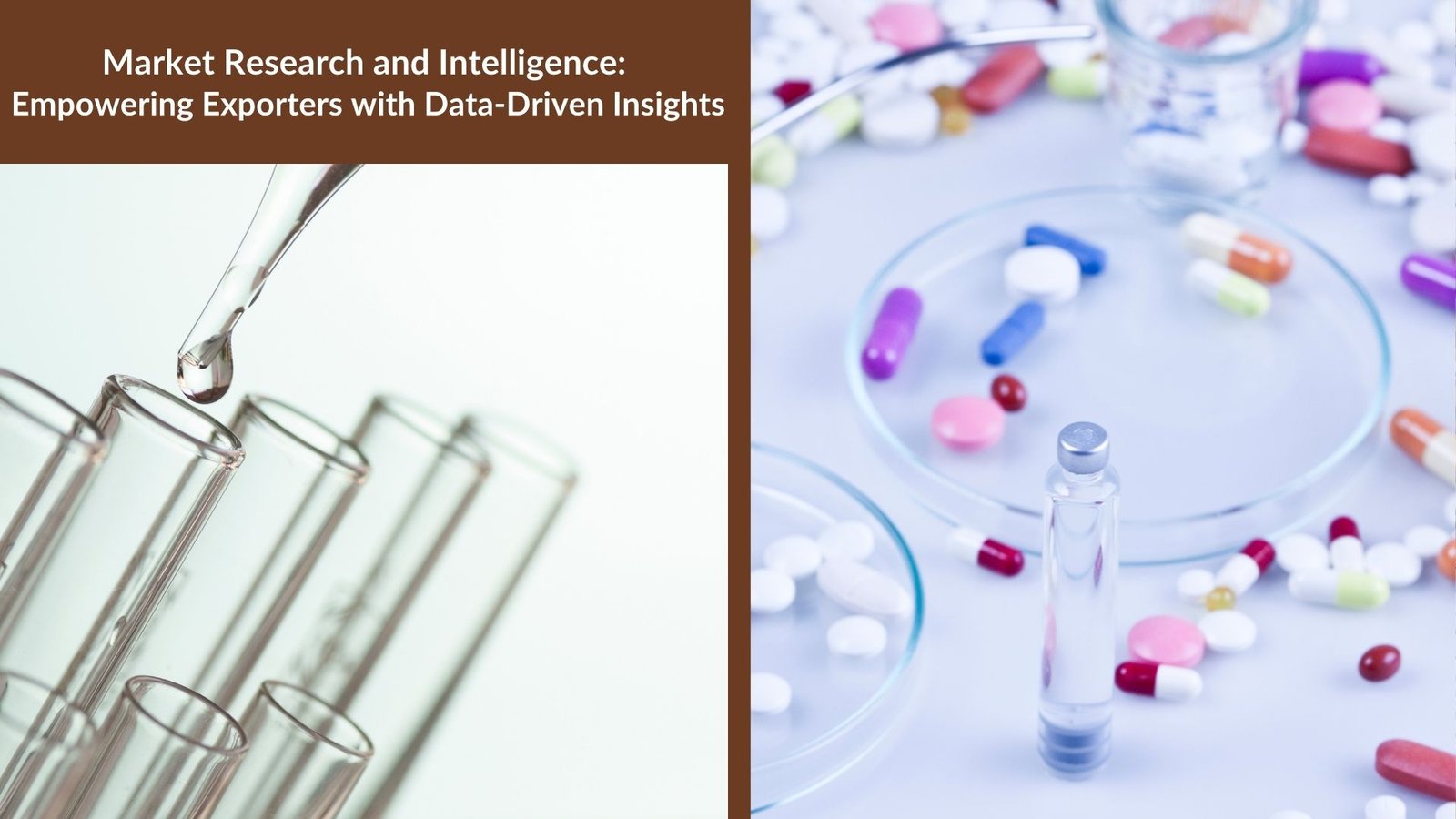 Market Research and Intelligence: Empowering Exporters with Data-Driven Insights
