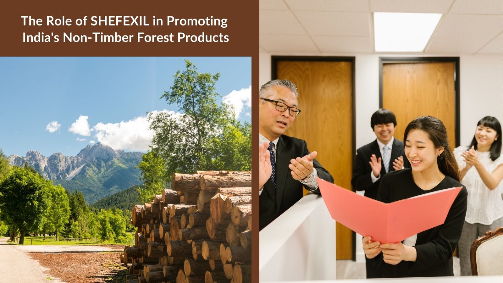 The Role of SHEFEXIL in Promoting India's Non-Timber Forest Products