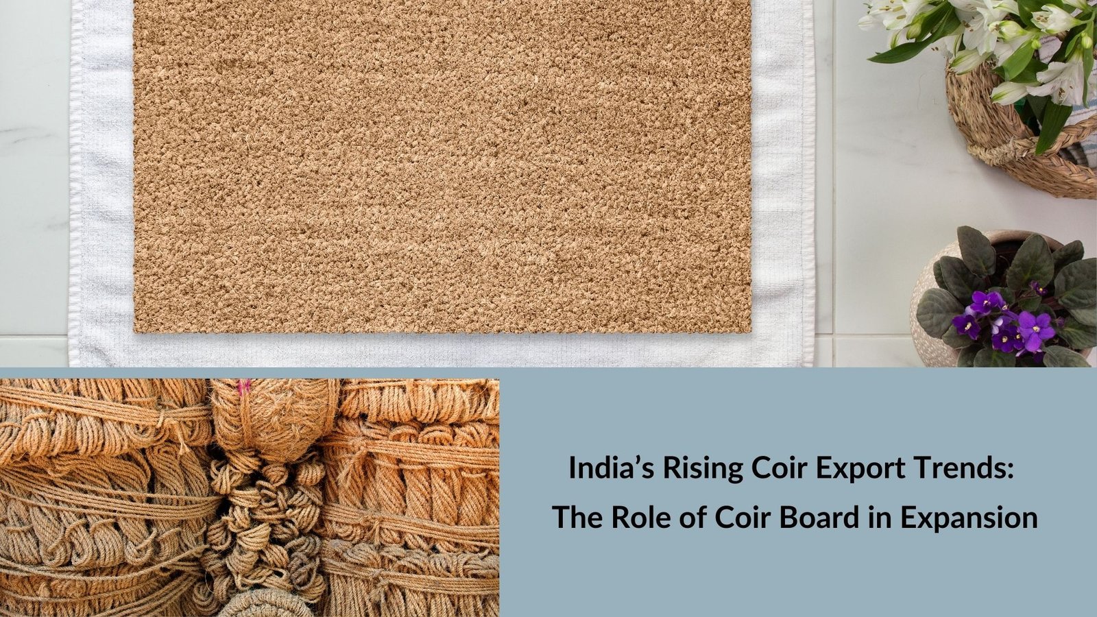 India’s Rising Coir Export Trends: The Role of Coir Board in Expansion
