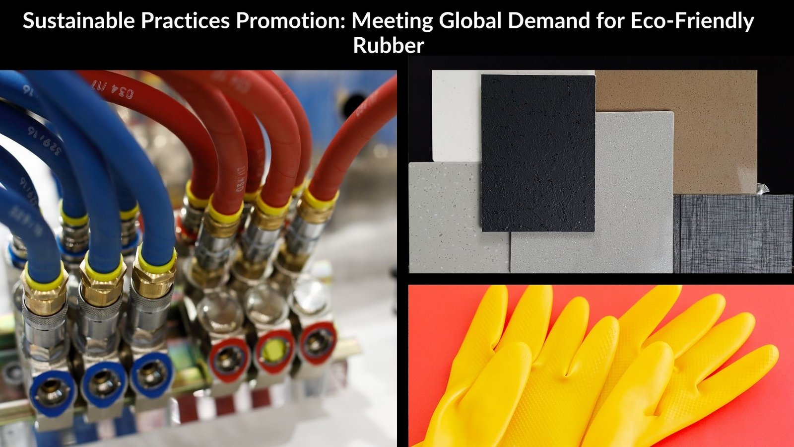 Sustainable Practices Promotion: Meeting Global Demand for Eco-Friendly Rubber
