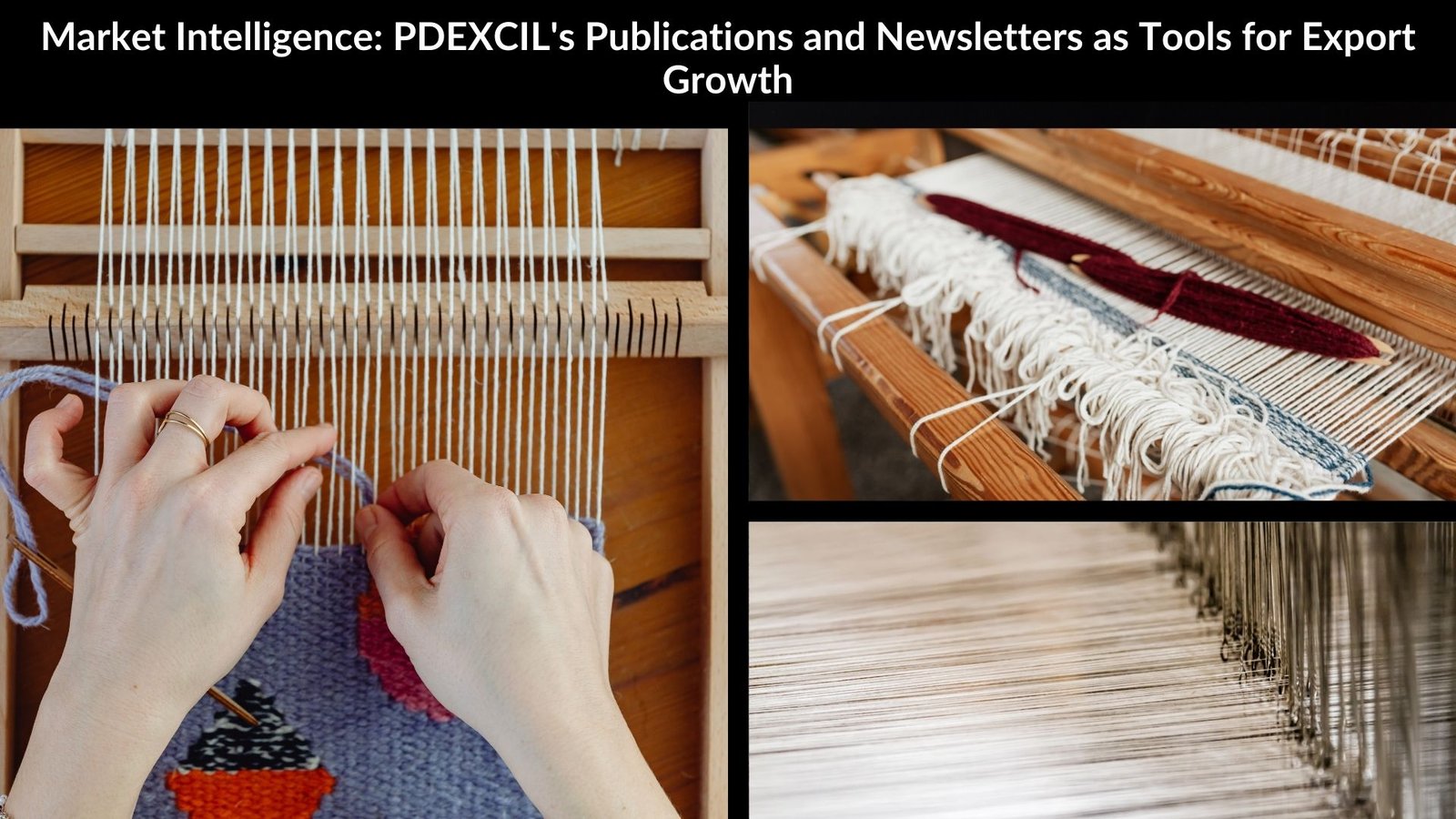 Market Intelligence: PDEXCIL's Publications and Newsletters as Tools for Export Growth
