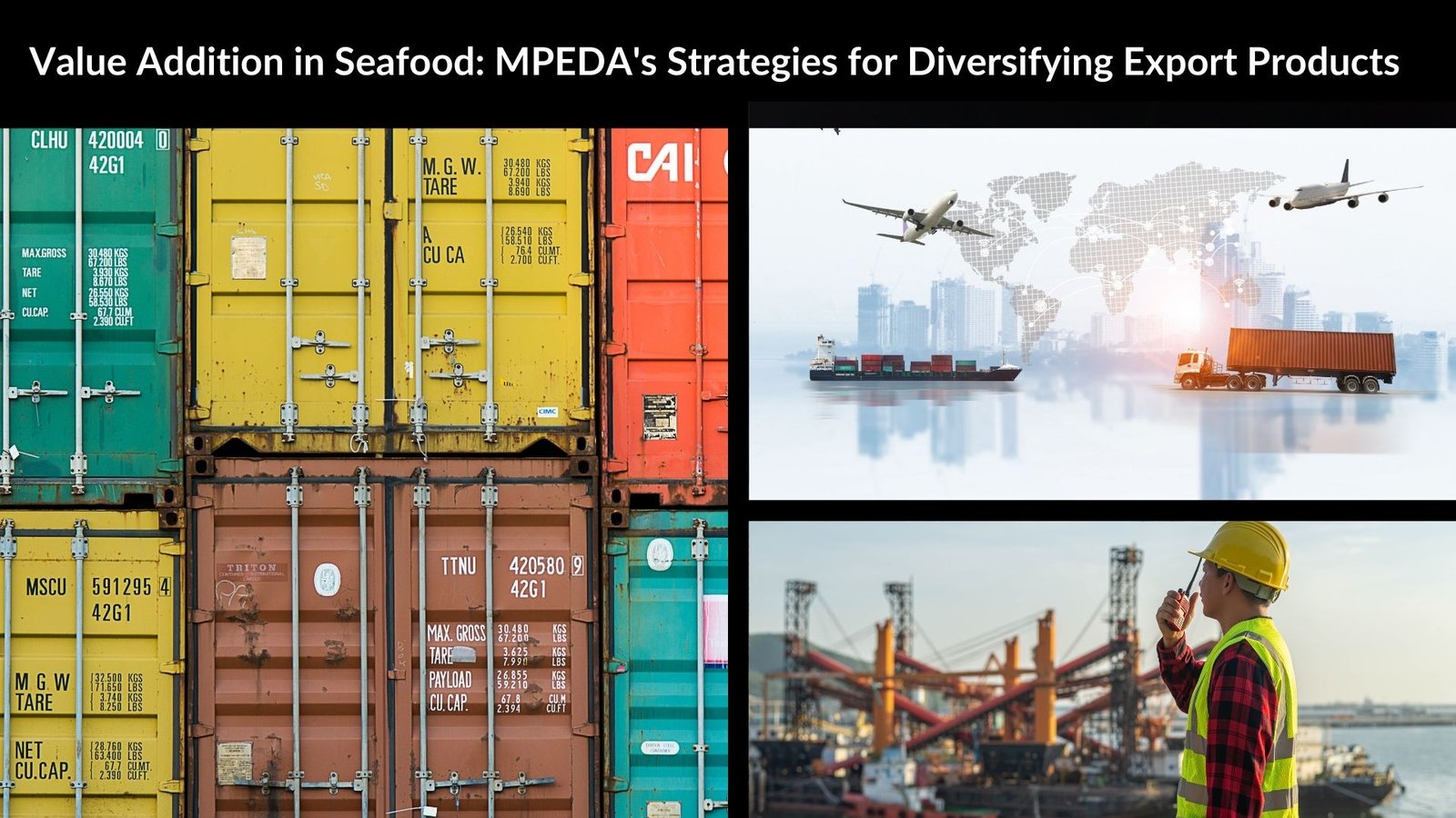 Value Addition in Seafood: MPEDA's Strategies for Diversifying Export Products
