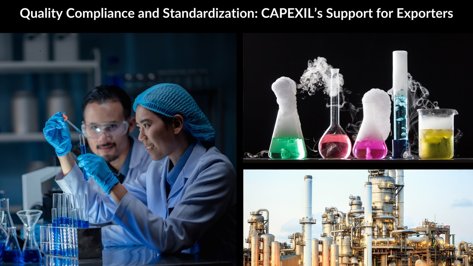 Quality Compliance and Standardization: CAPEXIL’s Support for Exporters