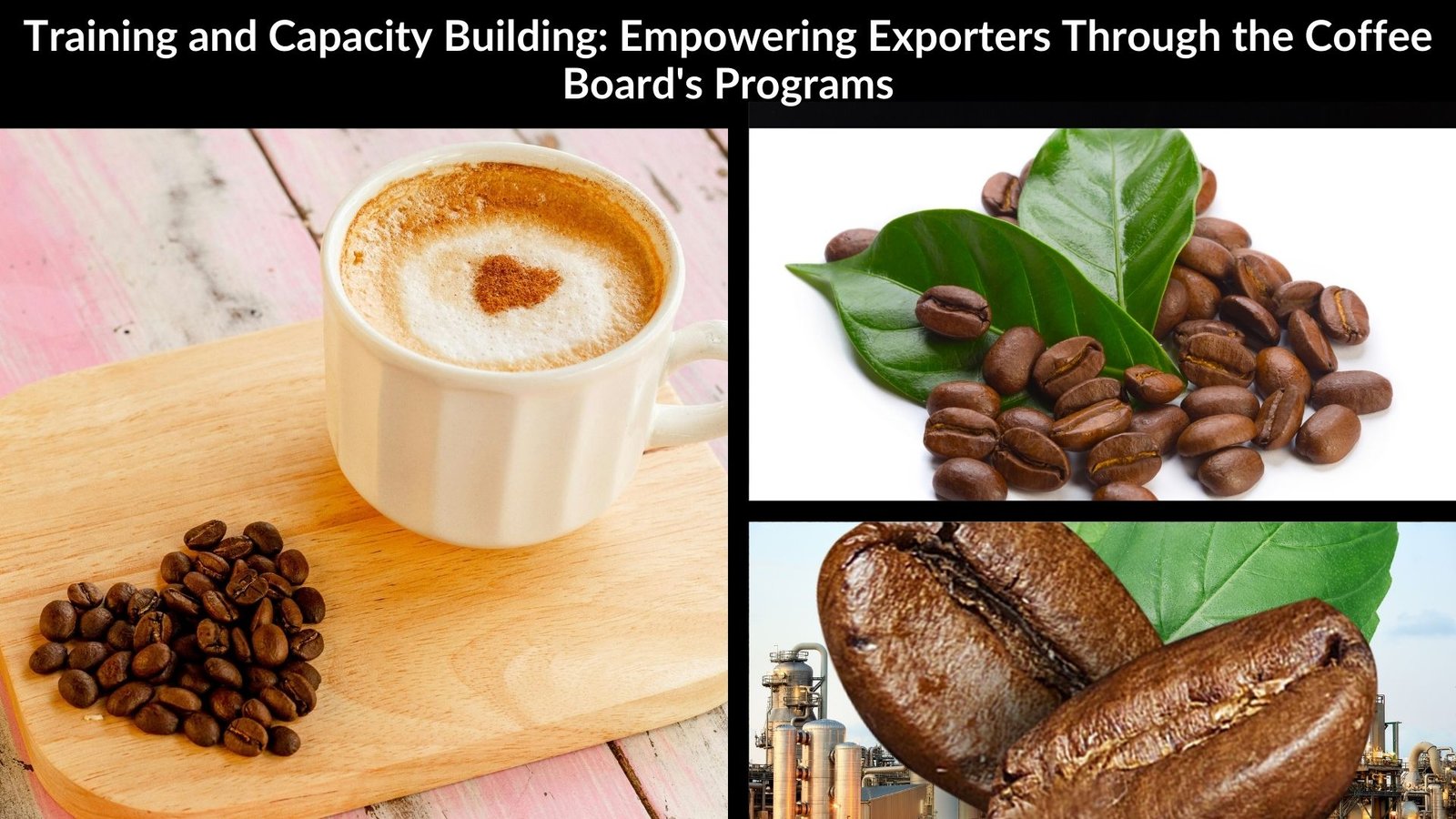 Training and Capacity Building: Empowering Exporters Through the Coffee Board's Programs
