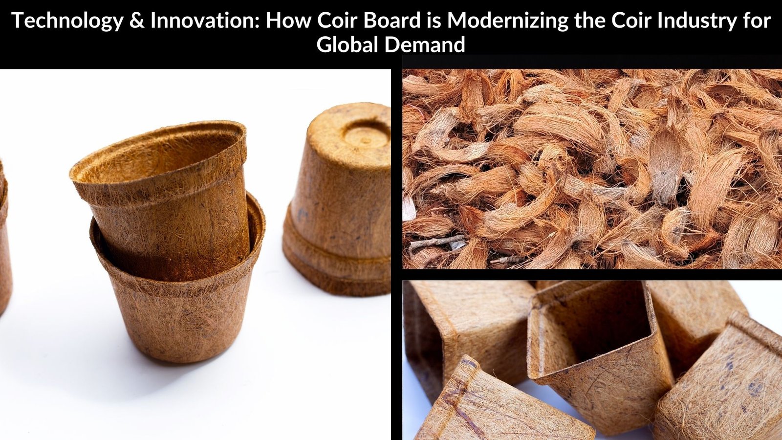 Technology & Innovation: How Coir Board is Modernizing the Coir Industry for Global Demand

