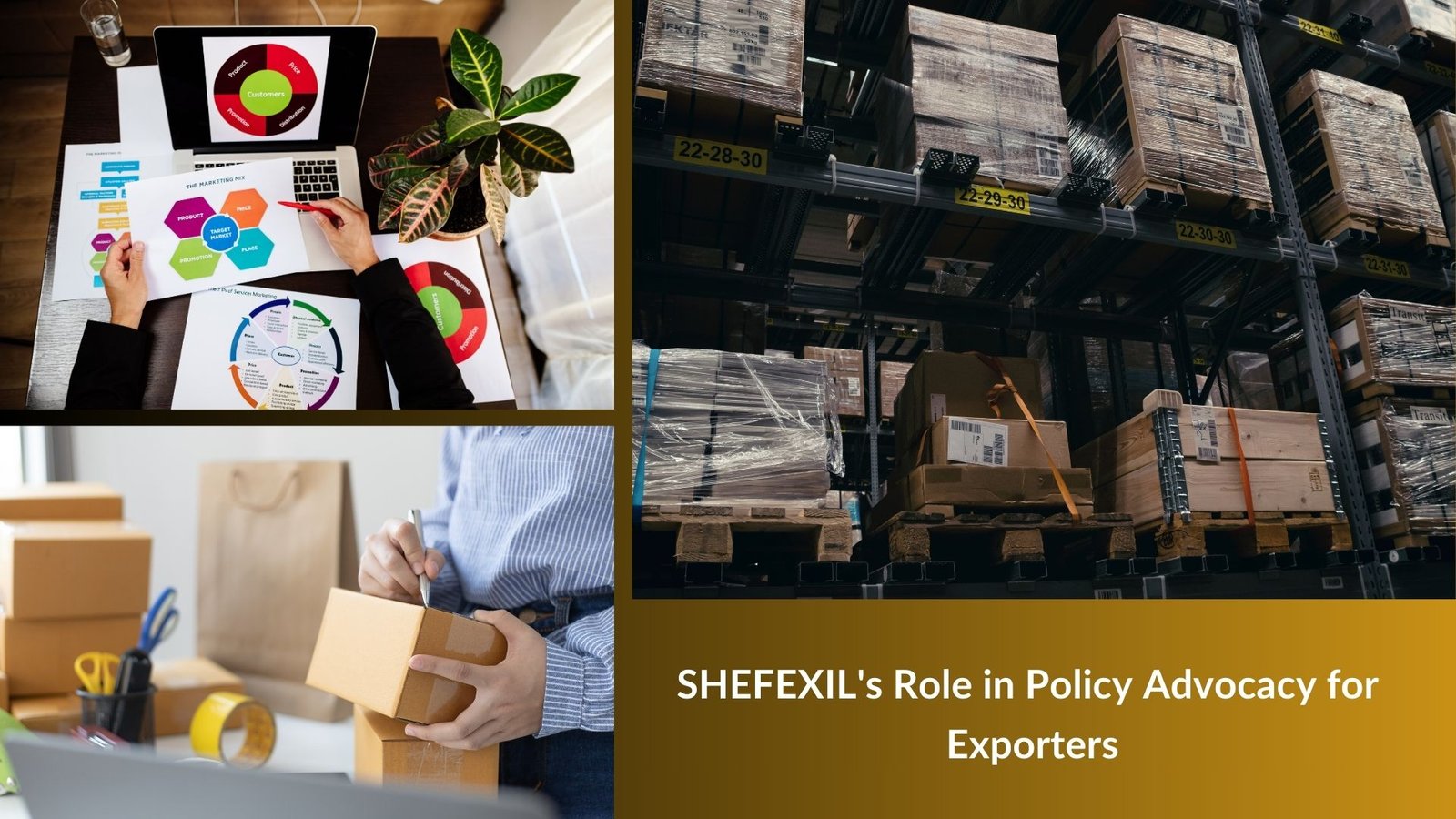 SHEFEXIL's Role in Policy Advocacy for Exporters 
