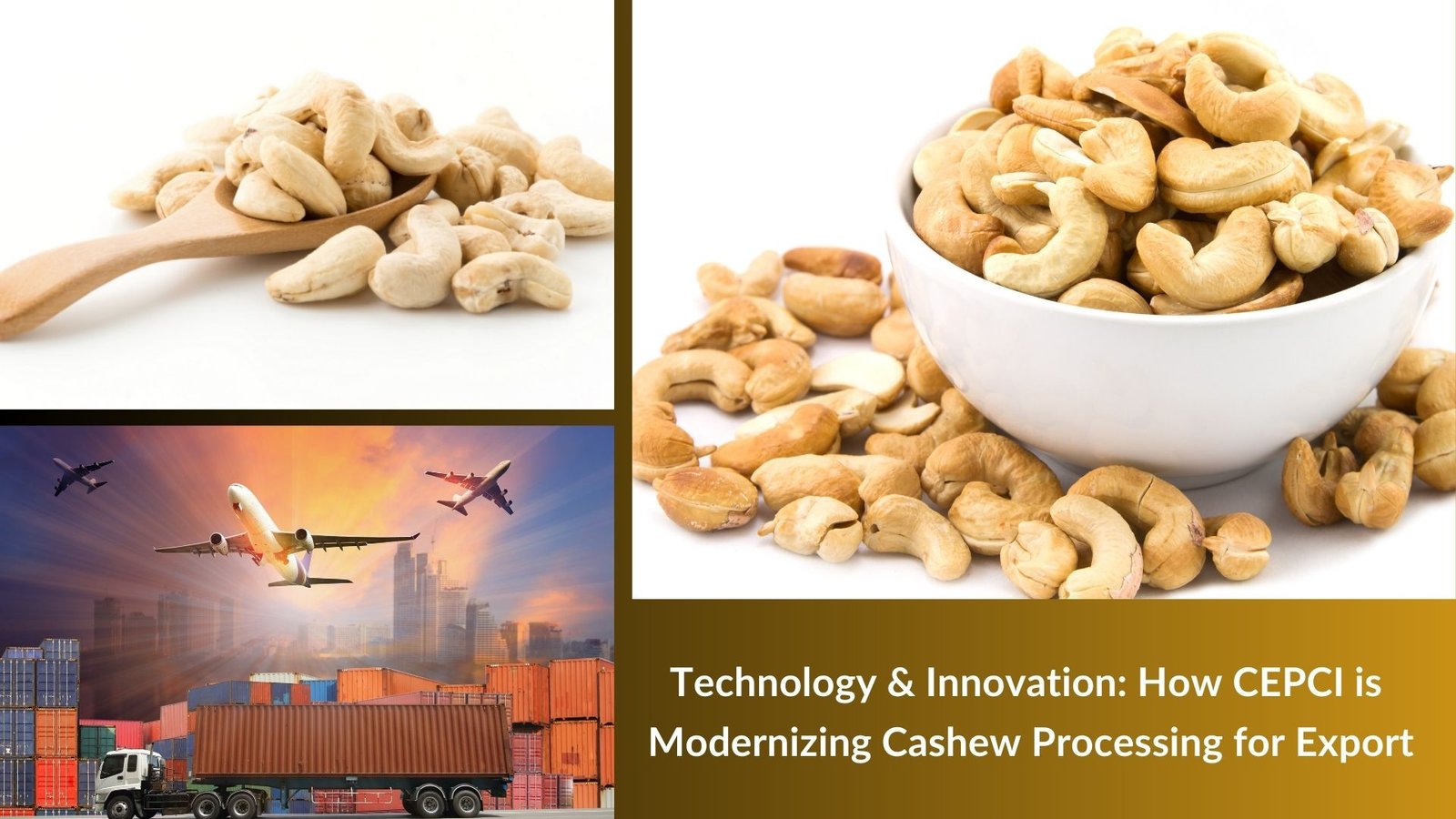 Technology & Innovation: How CEPCI is Modernizing Cashew Processing for Export 