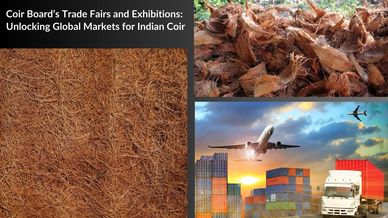 Coir Board’s Trade Fairs and Exhibitions: Unlocking Global Markets for Indian Coir 