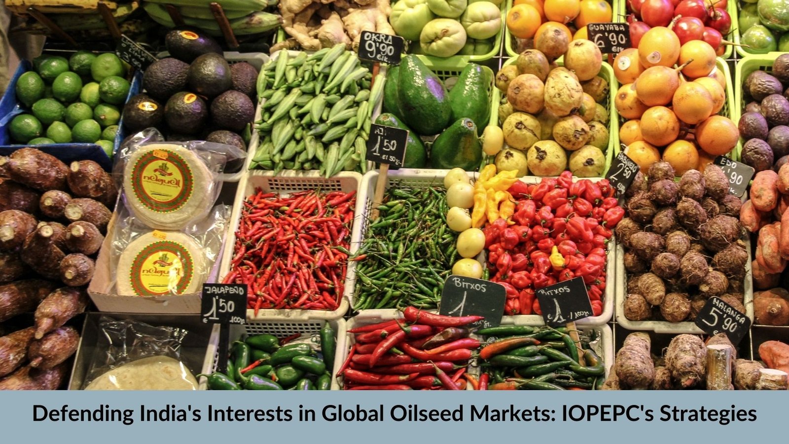 Defending India's Interests in Global Oilseed Markets: IOPEPC's Strategies
