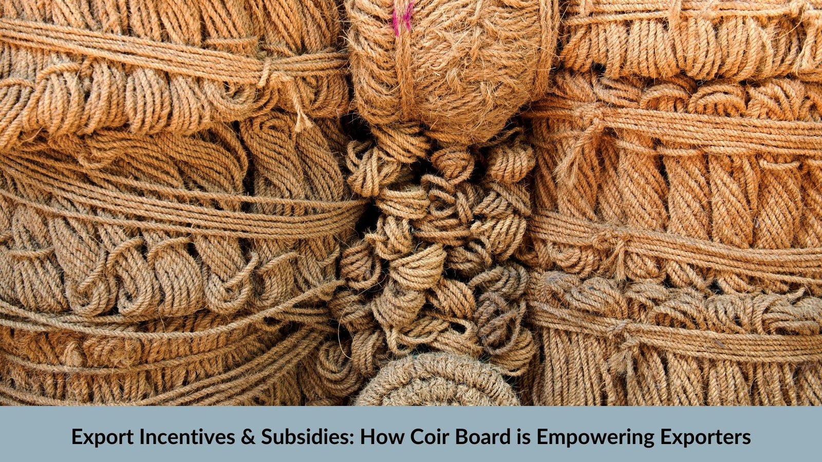 Export Incentives & Subsidies: How Coir Board is Empowering Exporters
