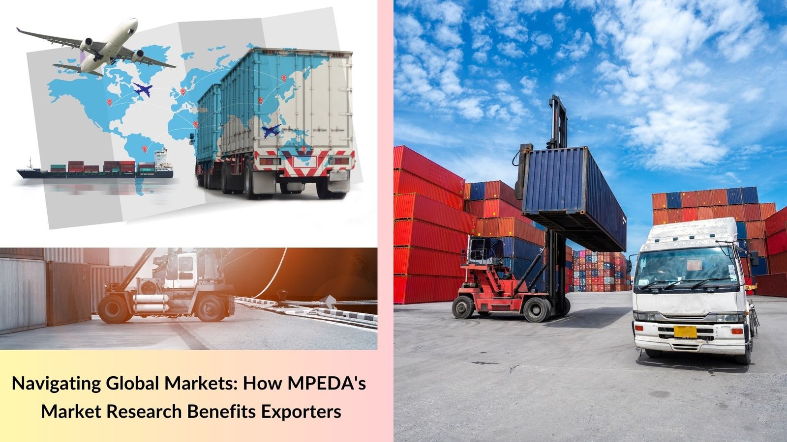 Navigating Global Markets: How MPEDA's Market Research Benefits Exporters
