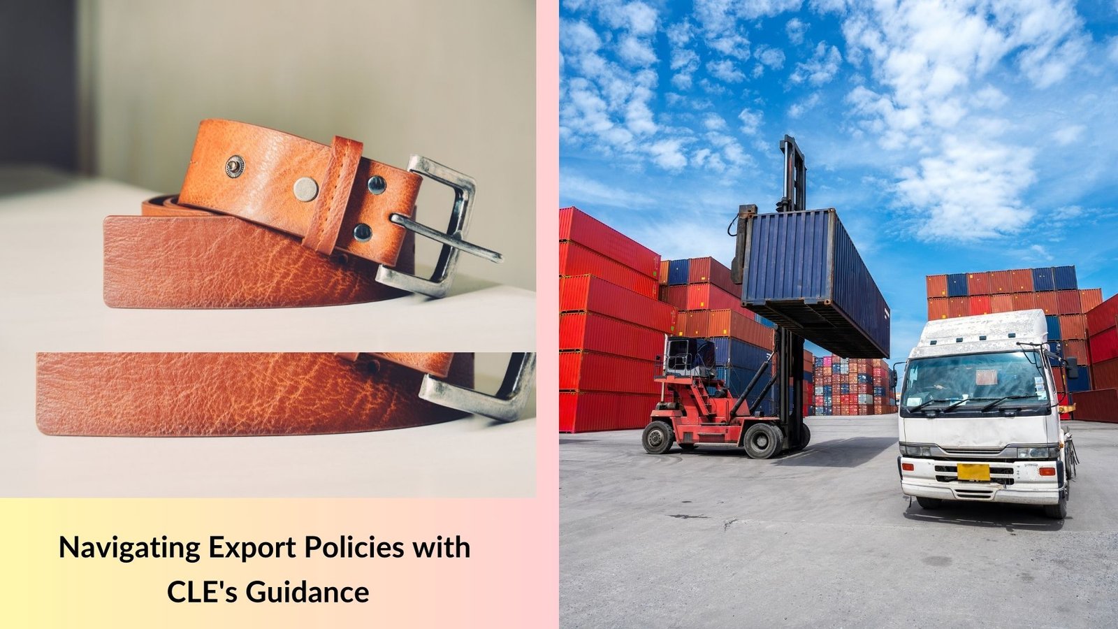 Navigating Export Policies with CLE's Guidance 