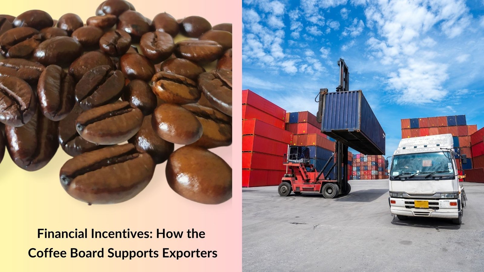 Financial Incentives: How the Coffee Board Supports Exporters
