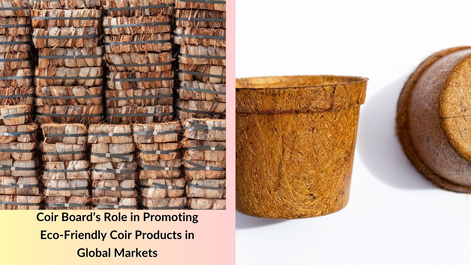 Coir Board’s Role in Promoting Eco-Friendly Coir Products in Global Markets
