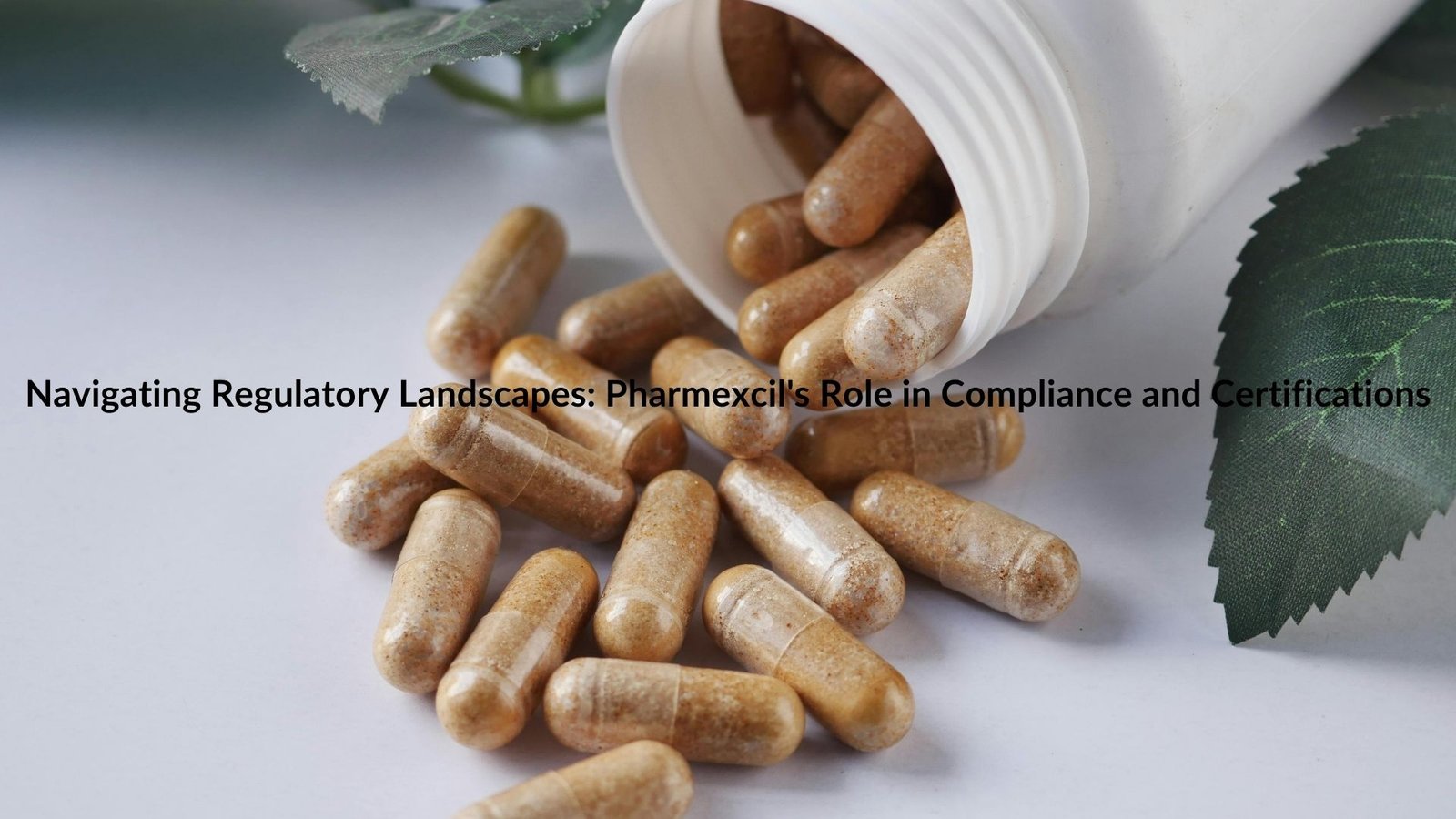Navigating Regulatory Landscapes: Pharmexcil's Role in Compliance and Certifications
