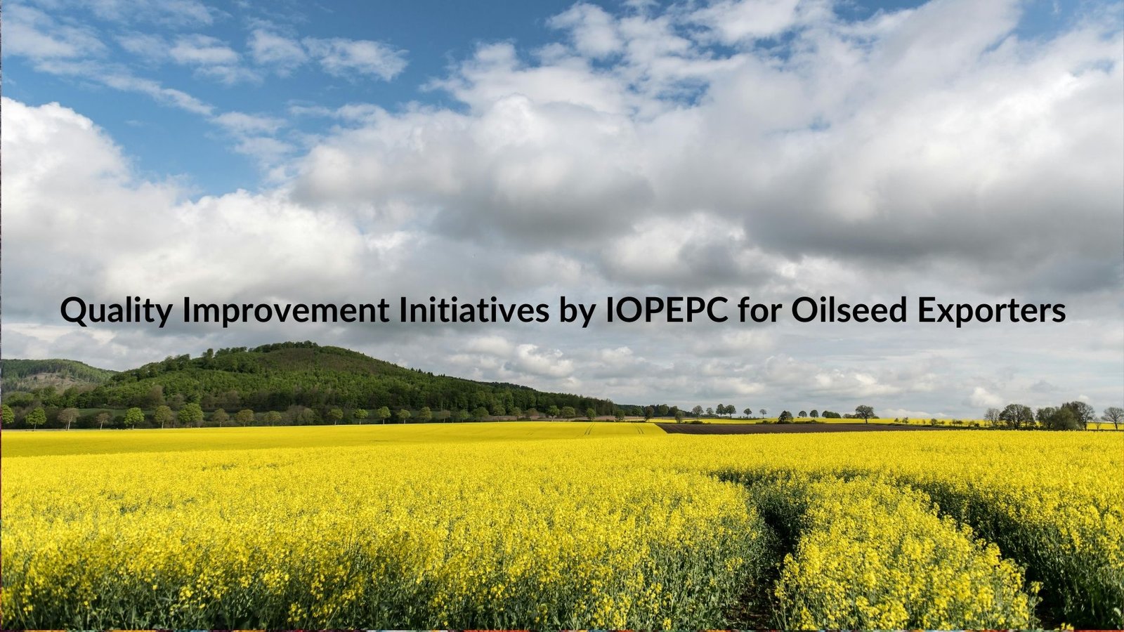 Quality Improvement Initiatives by IOPEPC for Oilseed Exporters 