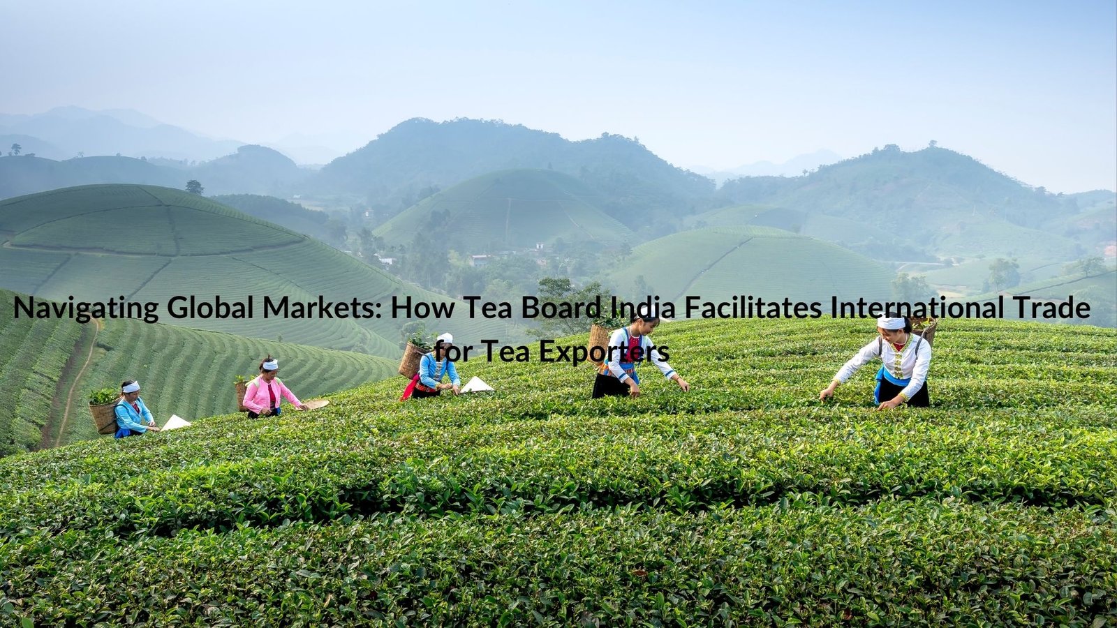 Navigating Global Markets: How Tea Board India Facilitates International Trade for Tea Exporters
