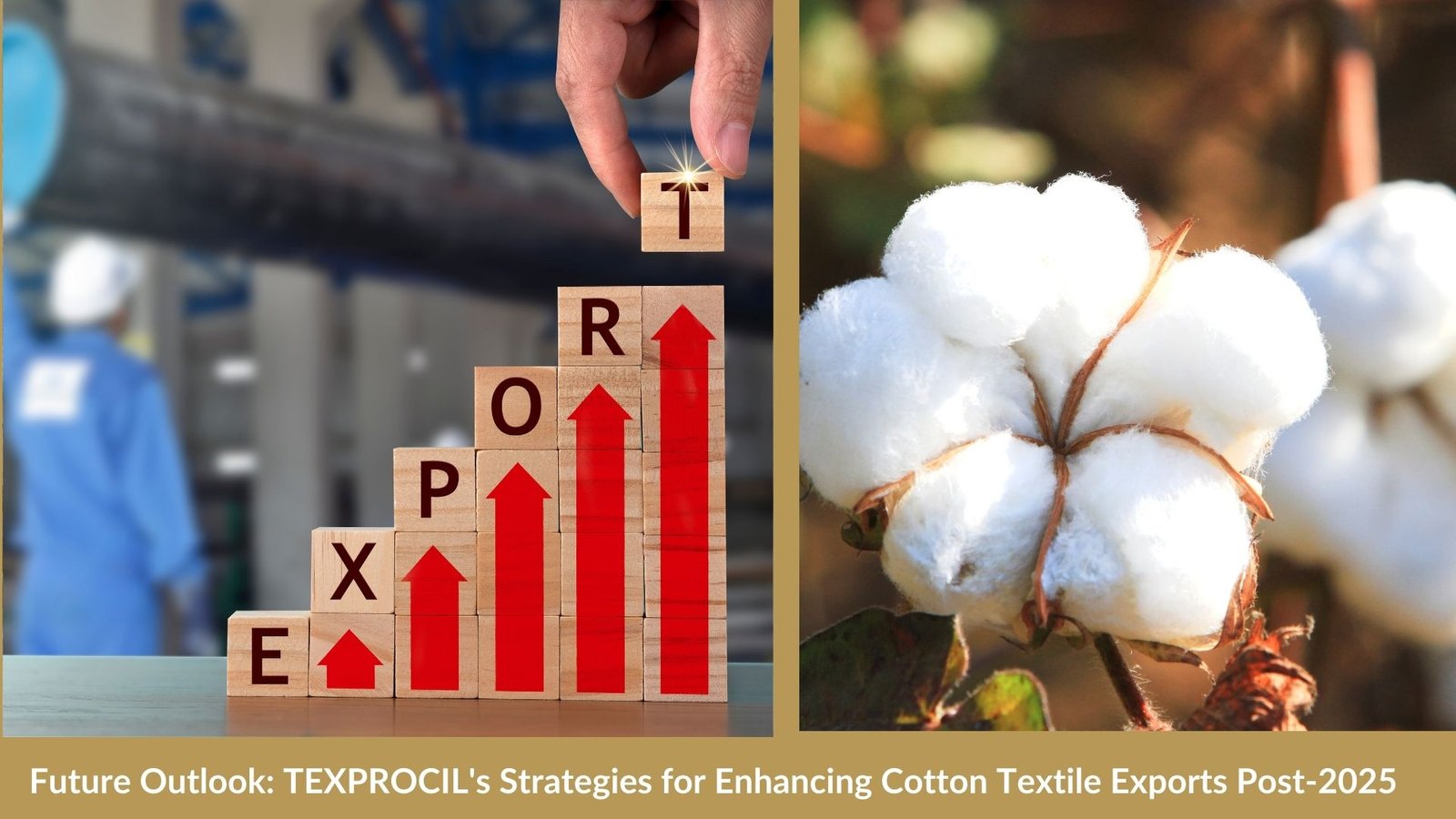 The Cotton Texttiles Export Promotion Council (TEXPROCIL)

