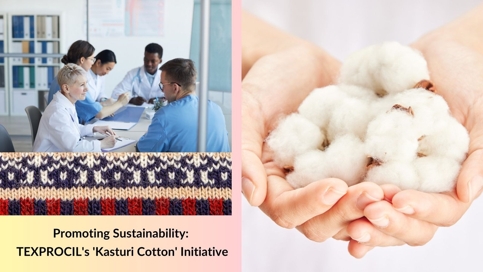 Promoting Sustainability: TEXPROCIL's 'Kasturi Cotton' Initiative
